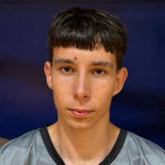 Todorovic Milan