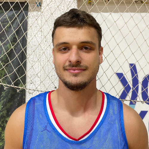 Komarica Nikola