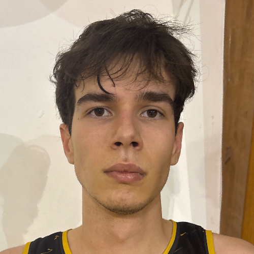 Tadić Luka