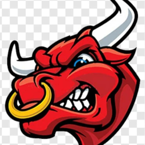Belgrade Bulls