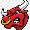 Belgrade Bulls