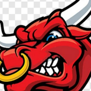 Belgrade Bulls