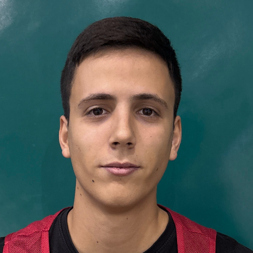 Pušara Nikola