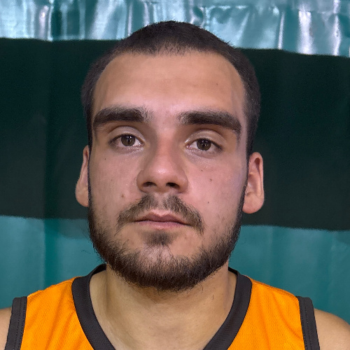 Arsić Nikola
