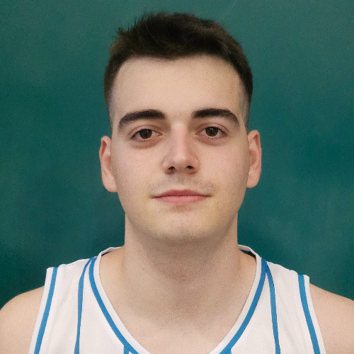 Mitrovic Aleksandar