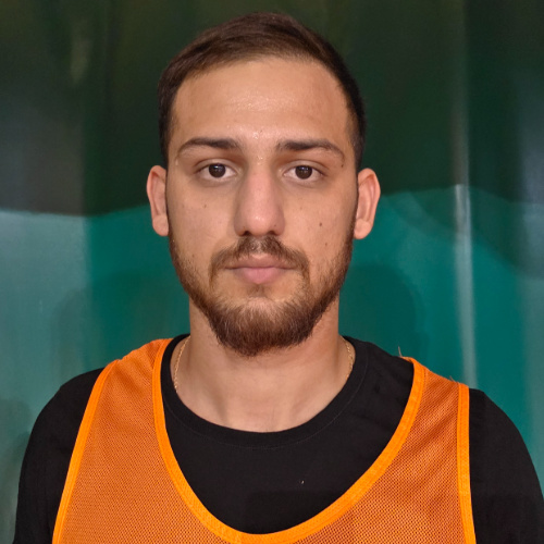 Mitrovic Marko