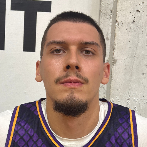 Mitrović Andrija