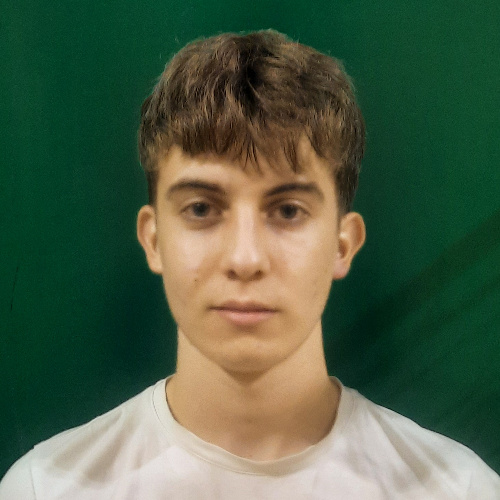 Pavlović Mihailo