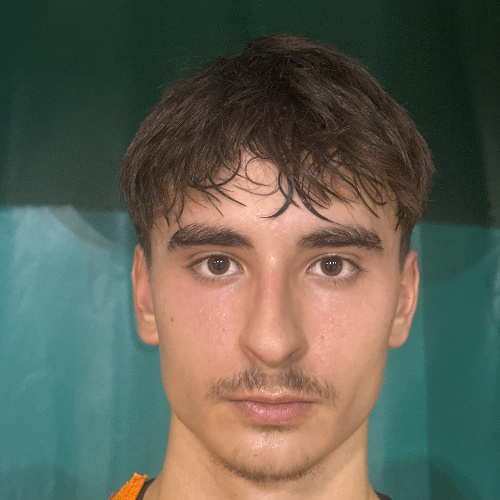 Živkov Ognjen