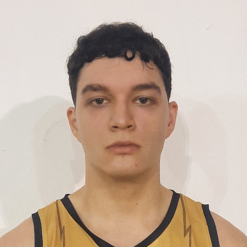 Mitrovic Marko