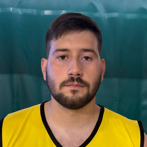 Vidojevic Mihajlo