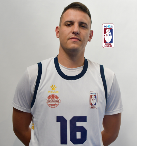 Nikola Mandić