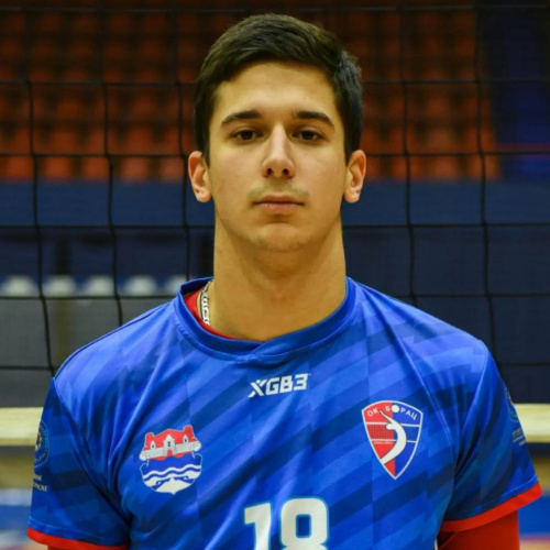 Nikola Aleksić