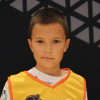 Jokanović Viktor