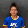 Agarwal Giorgi