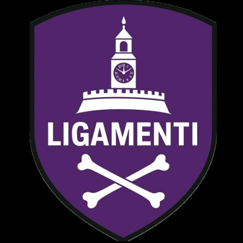 Ligamenti