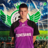 Balint Aleksandar