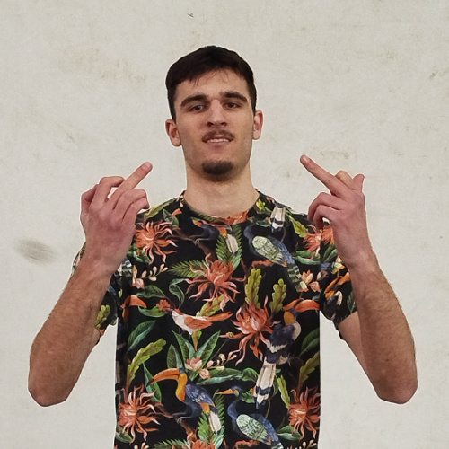 Stojanovic Djordje
