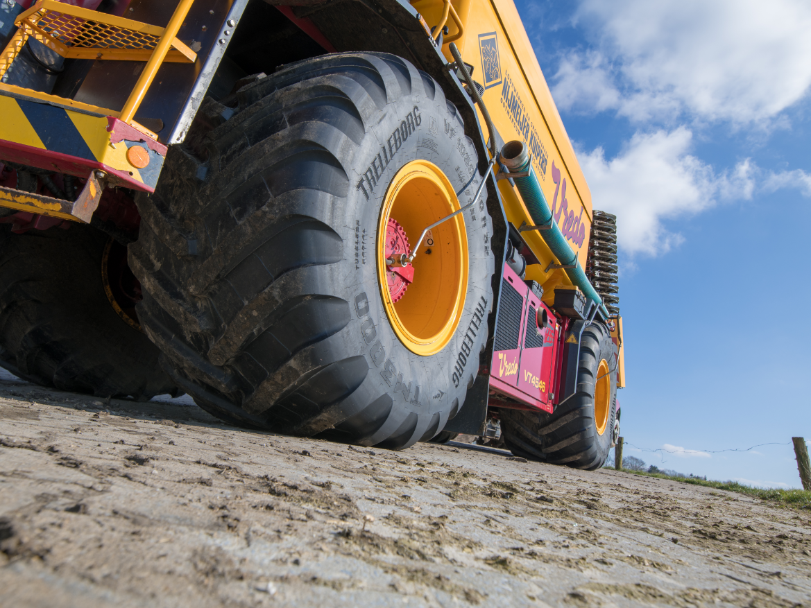 Homepage placeholder