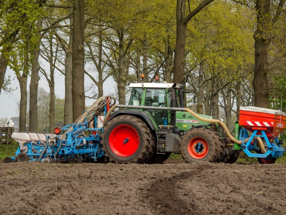 Zaaien maiszaaien verkleind