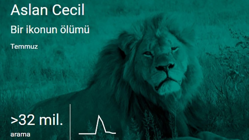 Google'da 2015 De En Çok Neler Aratıldı