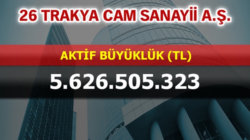 Türkiye’nin en büyük şirketleri