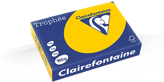 Gekleurd Papier 160gr A4 297 x 210 mm Zonnebloem Geel FSC pk/250vel