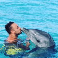 imagine profil Razvan