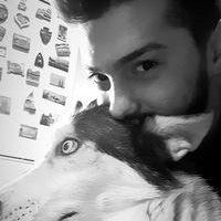 imagine profil David