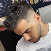 imagine profil Diaconescu