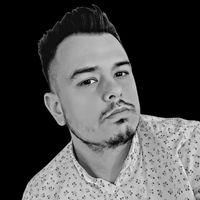 imagine profil Vermesan