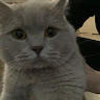 imagine profil Ottilia