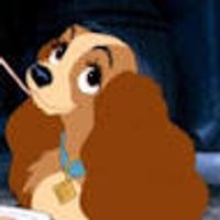 imagine profil Andreea