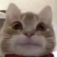 imagine profil Bianca