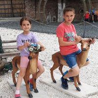 imagine profil Mircea