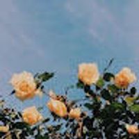 imagine profil It's