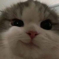 imagine profil Alexandru