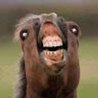 imagine profil Manzul_cu_gameplay-Uri