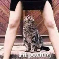 imagine profil Mihail