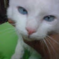 imagine profil Ana