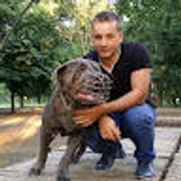 imagine profil Razvan