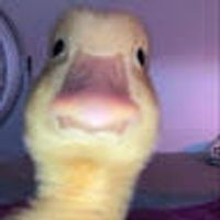 imagine profil Gabriel