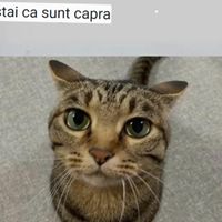 imagine profil Alexandru
