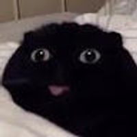 imagine profil Yaroslav