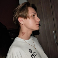 imagine profil Nicolae Andrei
