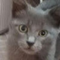 imagine profil Robert