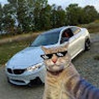 imagine profil Nicolas