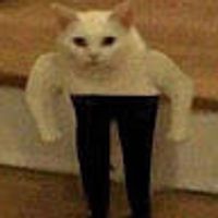 imagine profil David
