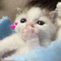 imagine profil Stefan
