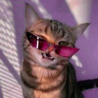 imagine profil Andreea